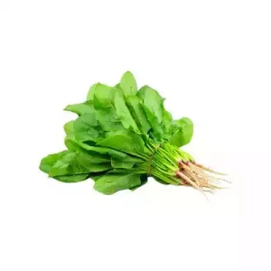 মূলাশাক